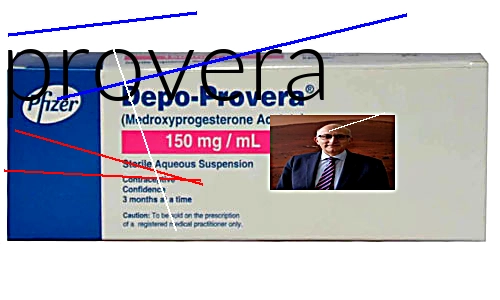 Provera centrale d'achat